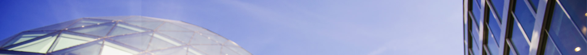 Banner 4